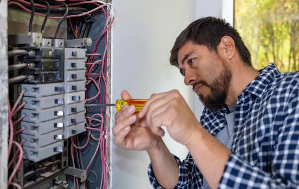 Best Electrician for Home Renovation  in Chesilhurst, NJ